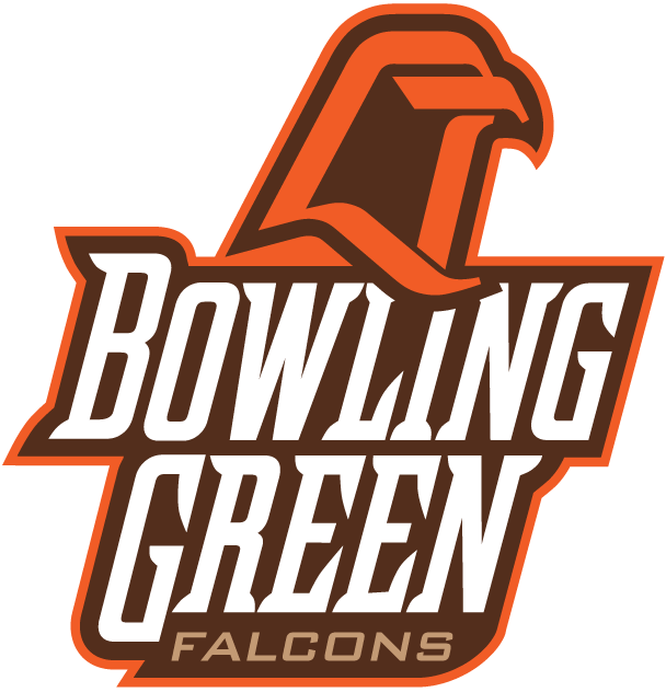 Bowling Green Falcons 1999-2005 Alternate Logo v3 diy fabric transfer...